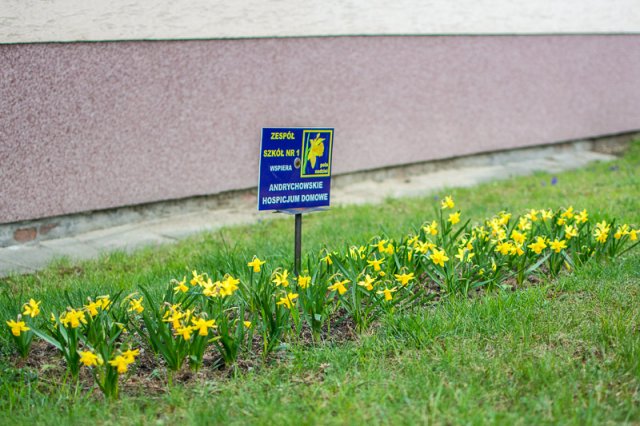 Dzień otwarty dla gimnazjalistów