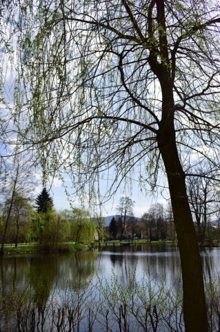 Plener fotograficzny 3f