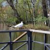 Plener fotograficzny 3f