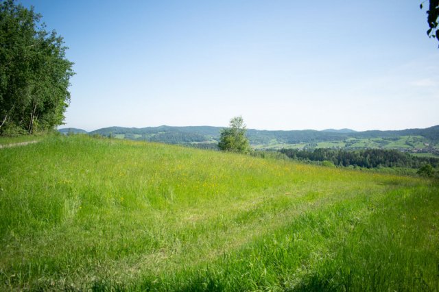 Plener fotograficzny