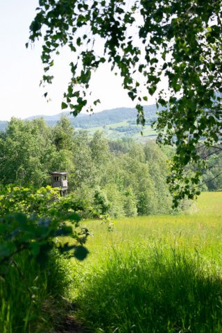 Plener fotograficzny