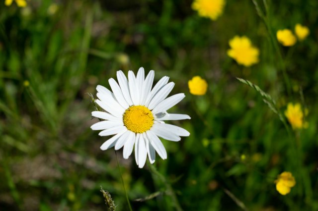 Plener fotograficzny