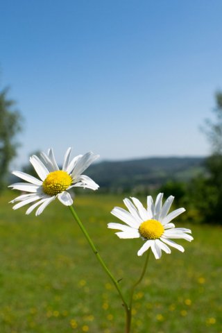 Plener fotograficzny