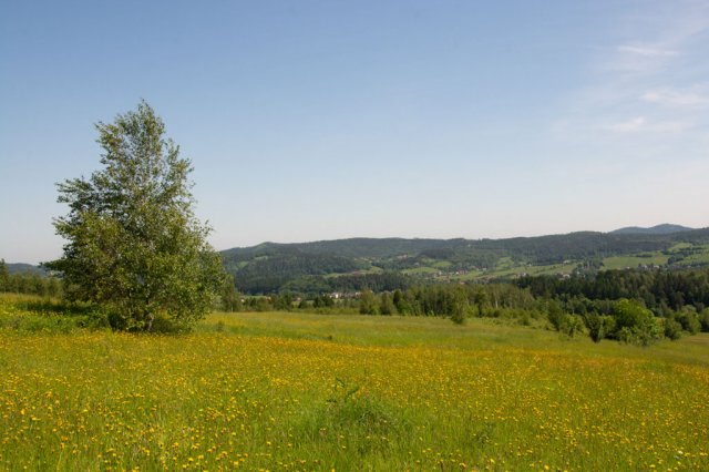 Plener fotograficzny