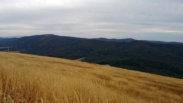 Wycieczka Bieszczady