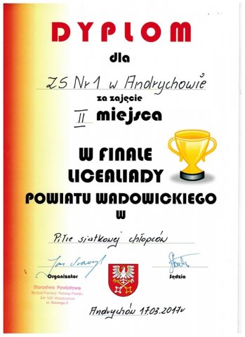 Sukcesy Młodzieży
