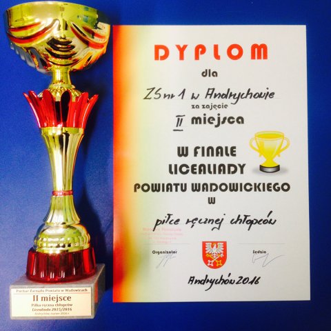 Nasze Osiągnięcia - Sukcesy Młodzieży
